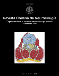 					Ver Vol. 51 Núm. 1 (2025)
				